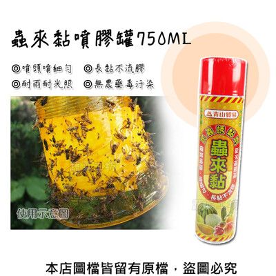 蟲來黏噴膠罐750ML(補蠅噴液、補蠅黏膠、果蠅黏膠)