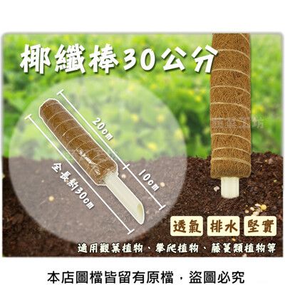 椰纖棒 30公分(可串接式)(塑膠中柱防霉)攀爬類植物.水苔棒.椰纖柱.椰棒 2支/入