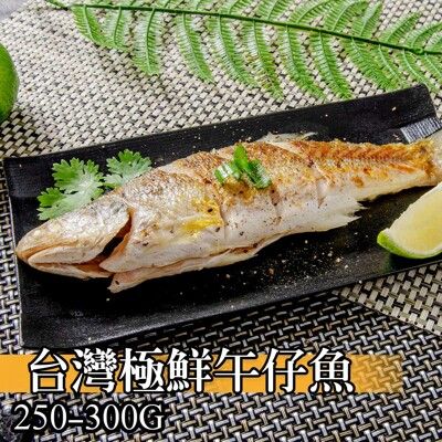 【鮮綠生活】台灣午仔魚250-300克