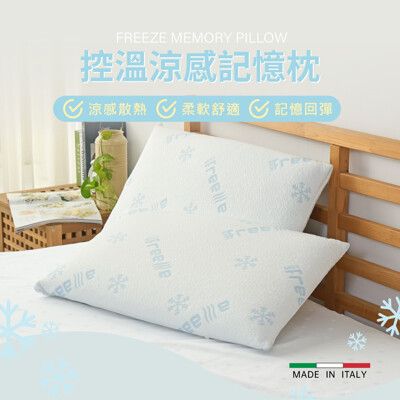 義大利Pillove / FREEZE涼感控溫記憶枕 / 經典麵包型 / 護頸枕