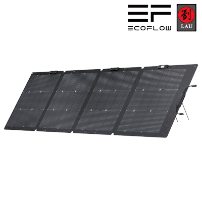 EcoFlow 220W 雙面便攜太陽能板(新世代版本)