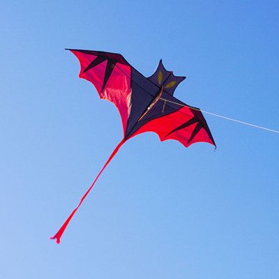 背桿式小蝙蝠造型風箏(160*176)(全配/附150米輪盤線)【888便利購】