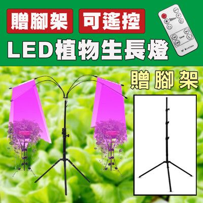 【贈腳架】【ROWA樂華】LED植物生長燈 植物燈 生長燈  USB 夾式 遙控 可調光 蔬菜