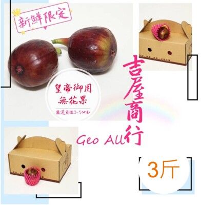 【新鮮限定】【無花果】3斤 - 吉屋商行Geo All - 產量稀少的無花果，皇帝愛吃極品