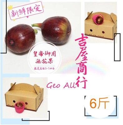 【新鮮限定】【無花果】6斤 - 吉屋商行Geo All - 產量稀少的無花果，皇帝愛吃極品