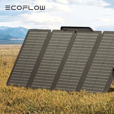 【EcoFlow】220W太陽能板(悠遊戶外)