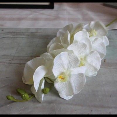 歐式落地蝴蝶蘭假花裝飾盆栽客廳餐桌花藝擺件白色蝴蝶蘭仿真花
