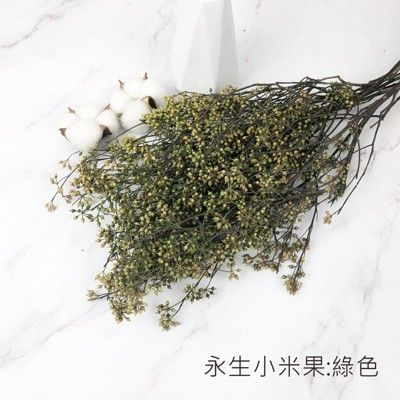 進口永生小米果-乾燥花圈 乾燥花束 不凋花 拍照道具 室內擺飾 乾燥花材-68元/10g - 綠色