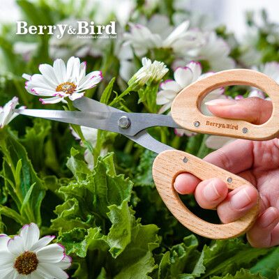 BEAGLE X Berry&Bird 園藝木柄花草剪 園藝工具 園藝用品 台灣現貨