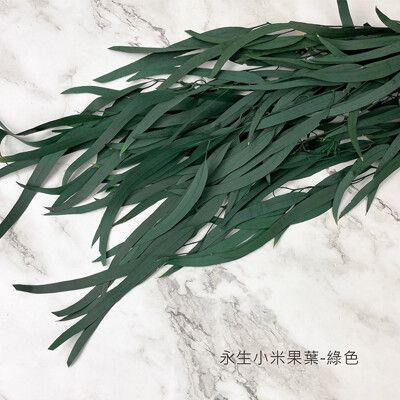 進口永生小米果葉-乾燥花圈 乾燥花束 不凋花配草 拍照道具 室內擺飾 乾燥花材-58元/束