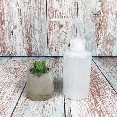 beagle 多肉植物 仙人掌專用-擠壓式澆水壺/噴水壺園藝工具-250ml