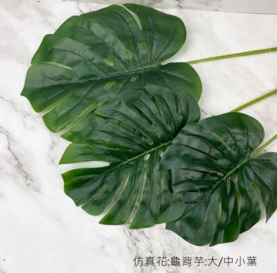 仿真花 龜背芋 家居裝飾 店面佈置 拍照道具 婚禮佈置 花牆-50元/中葉