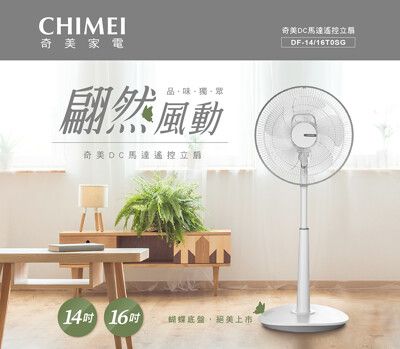 【CHIMEI奇美】14吋DC馬達微電腦遙控立扇 DF-14T0SG