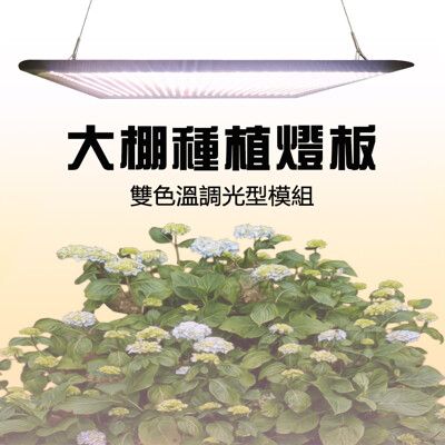 君沛 燈板系列 50瓦 吊掛式 植物燈 雙色溫 植物成長專用燈 植物生長燈