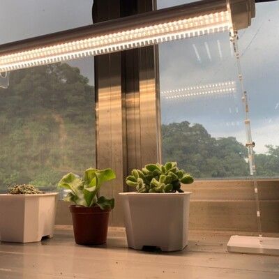 1入組 植物燈 全光譜 植物燈管 臺灣製造 50瓦 三防燈 植物燈led 防水 防潮 防蟲燈