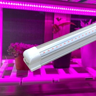 君沛 三入組 植物燈 LED 紅藍混光光譜 T8 4呎 燈管 一體式鋁合金散熱器 植物生長燈