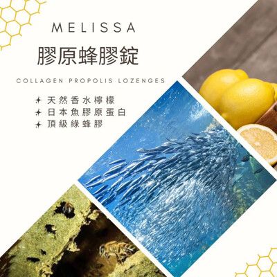 免運 【Melissa】1盒20顆 膠原蜂膠錠(100g/盒 綠蜂膠+蜂蜜+魚膠原蛋白)