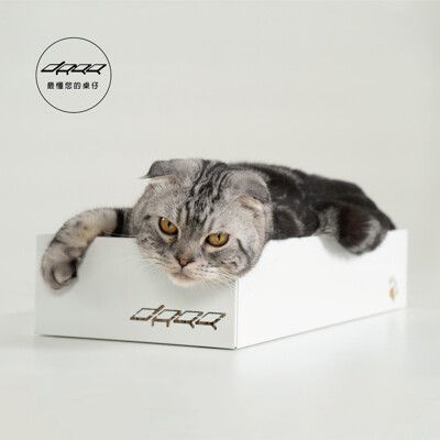 【Doaa最懂您的桌仔】Abui貓抓板 高款 ( 50X23 cm) 貓抓床