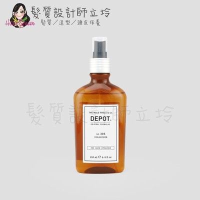 立坽『造型品』得軼公司貨 DEPOT 300造型系列 305 豐厚噴霧200ml